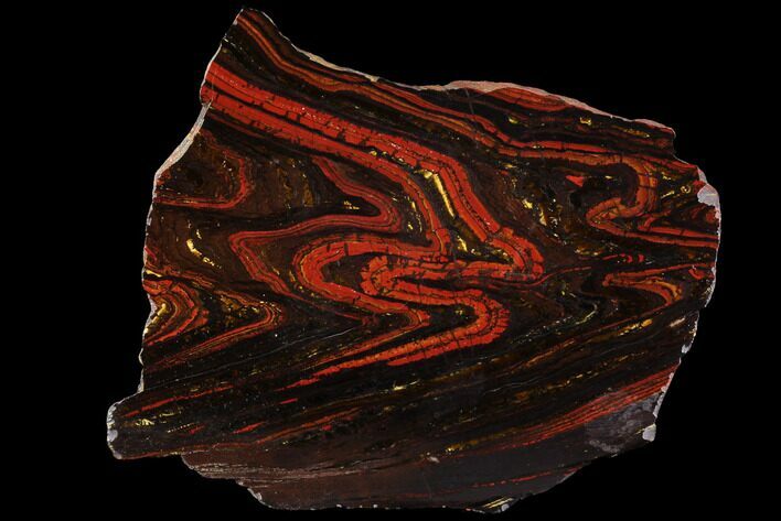 Polished Tiger Iron Stromatolite - ( Billion Years) #96227